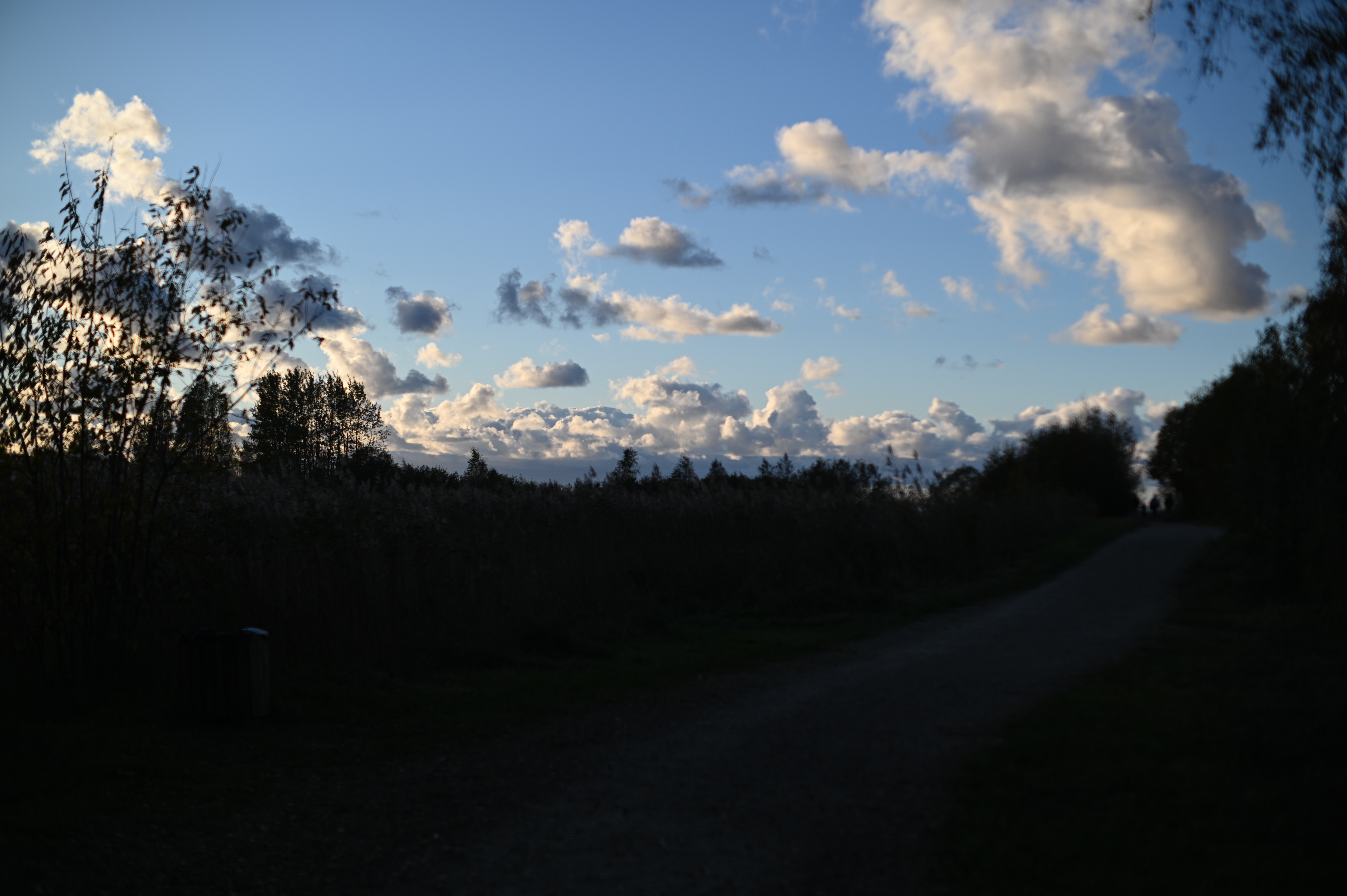 2025/10/18 - walk/DSC_0198.JPG